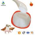 Buy Online CAS 86347-15-1 Ingredients Medetomidine Powder